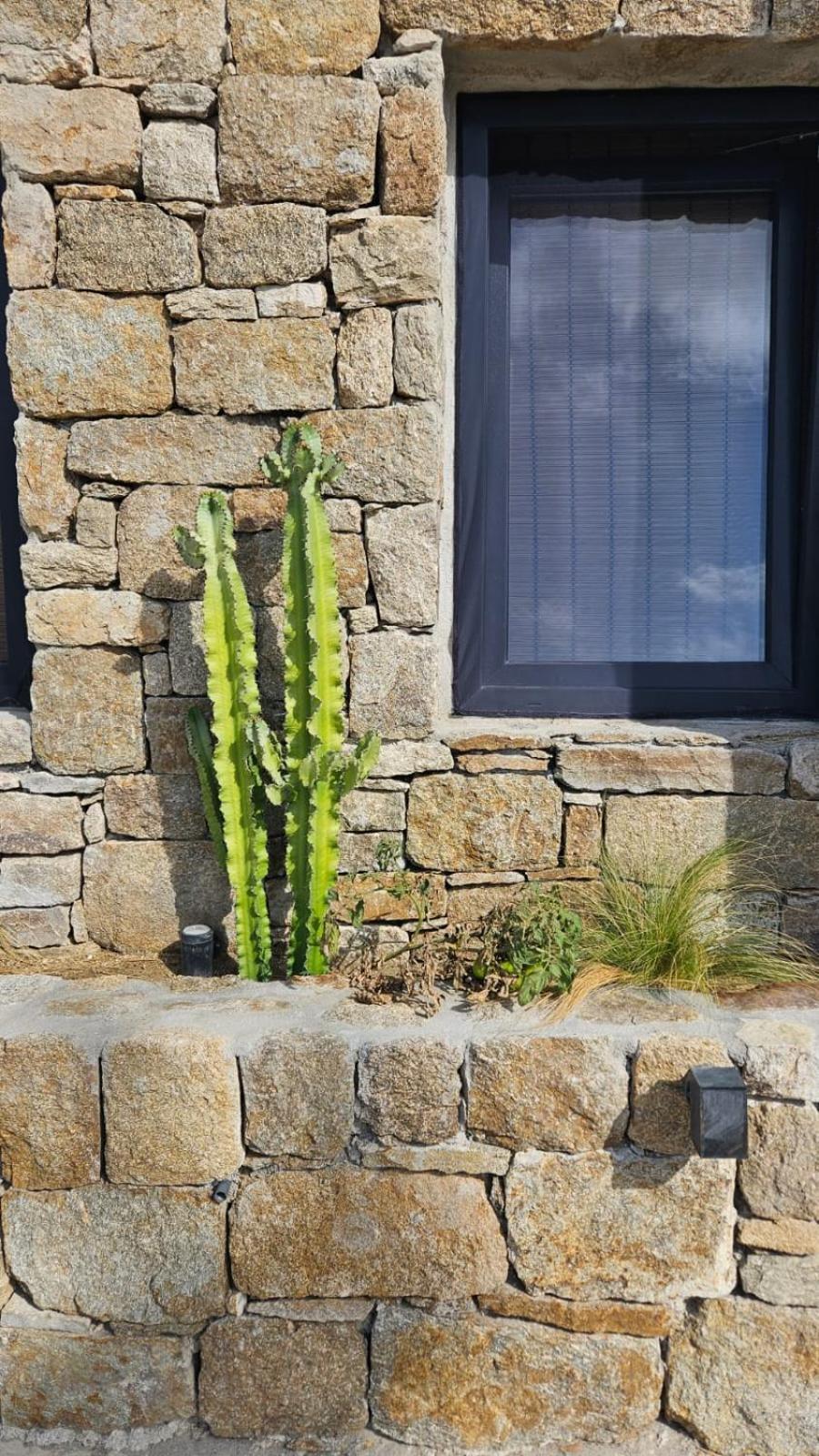 Elli Tropical Suites Mykonos Town Exterior photo