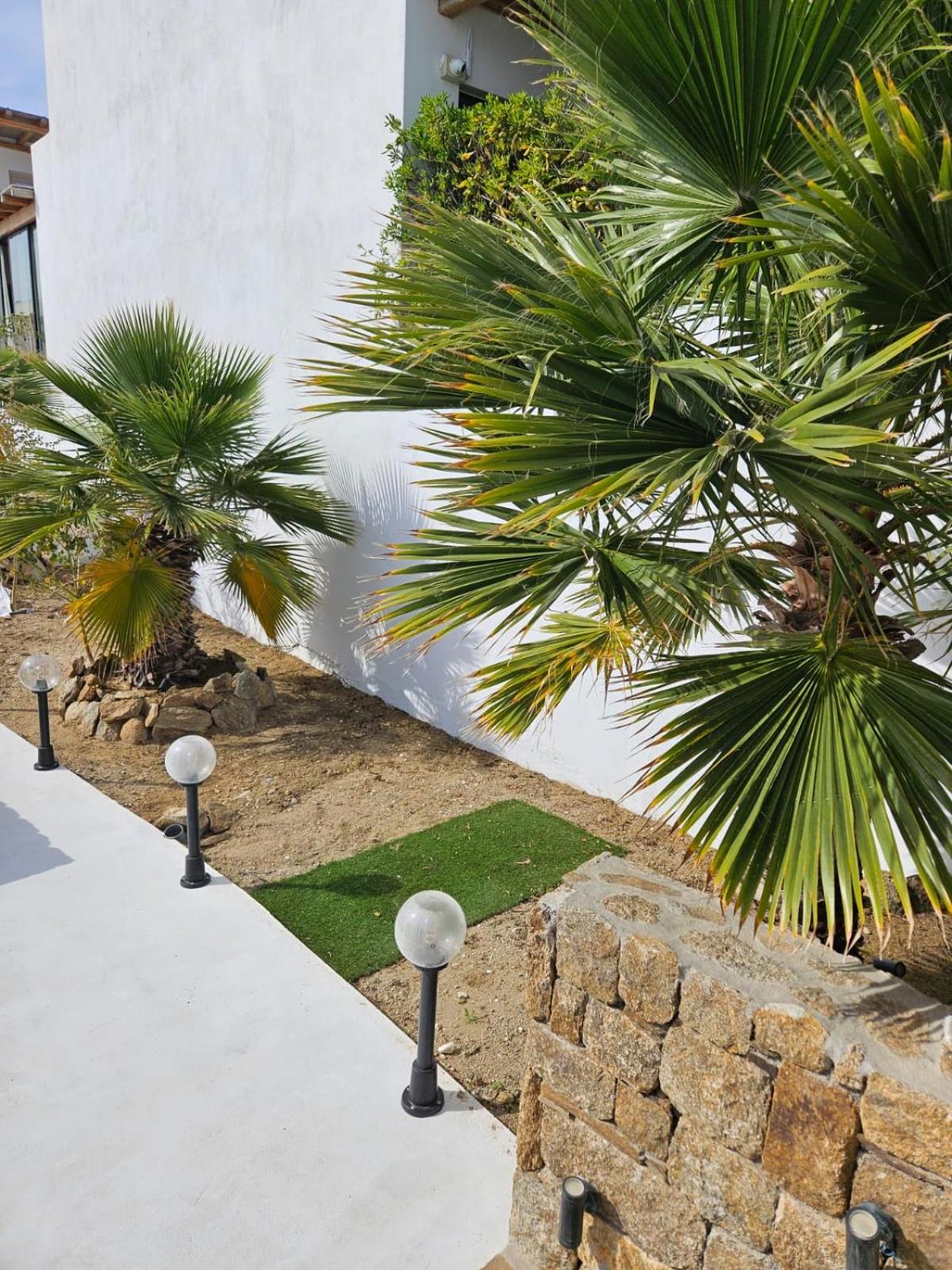 Elli Tropical Suites Mykonos Town Exterior photo